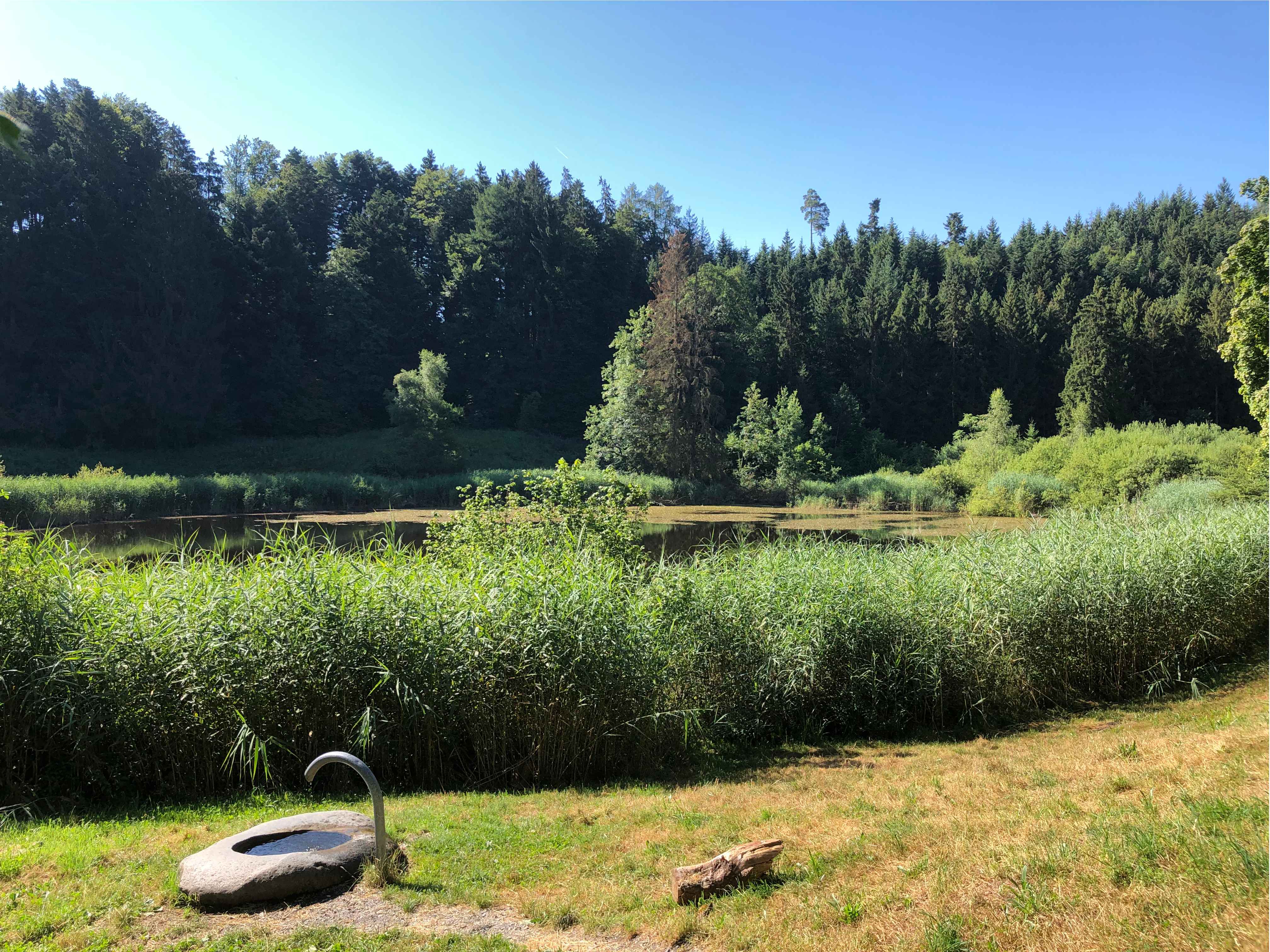 mueswangen.02